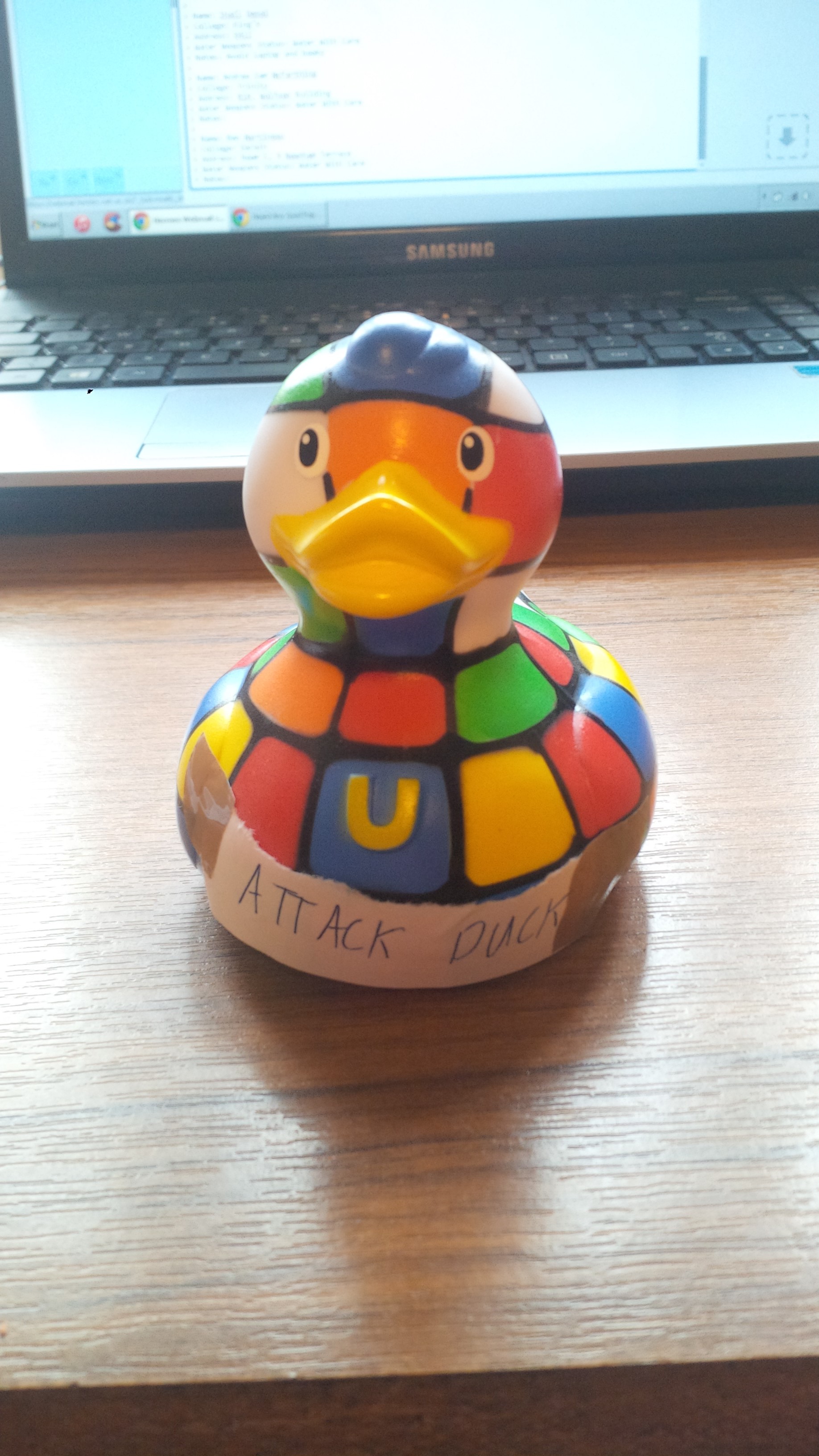 Attack Duck