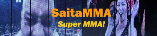 Saitamma - Super MMA!